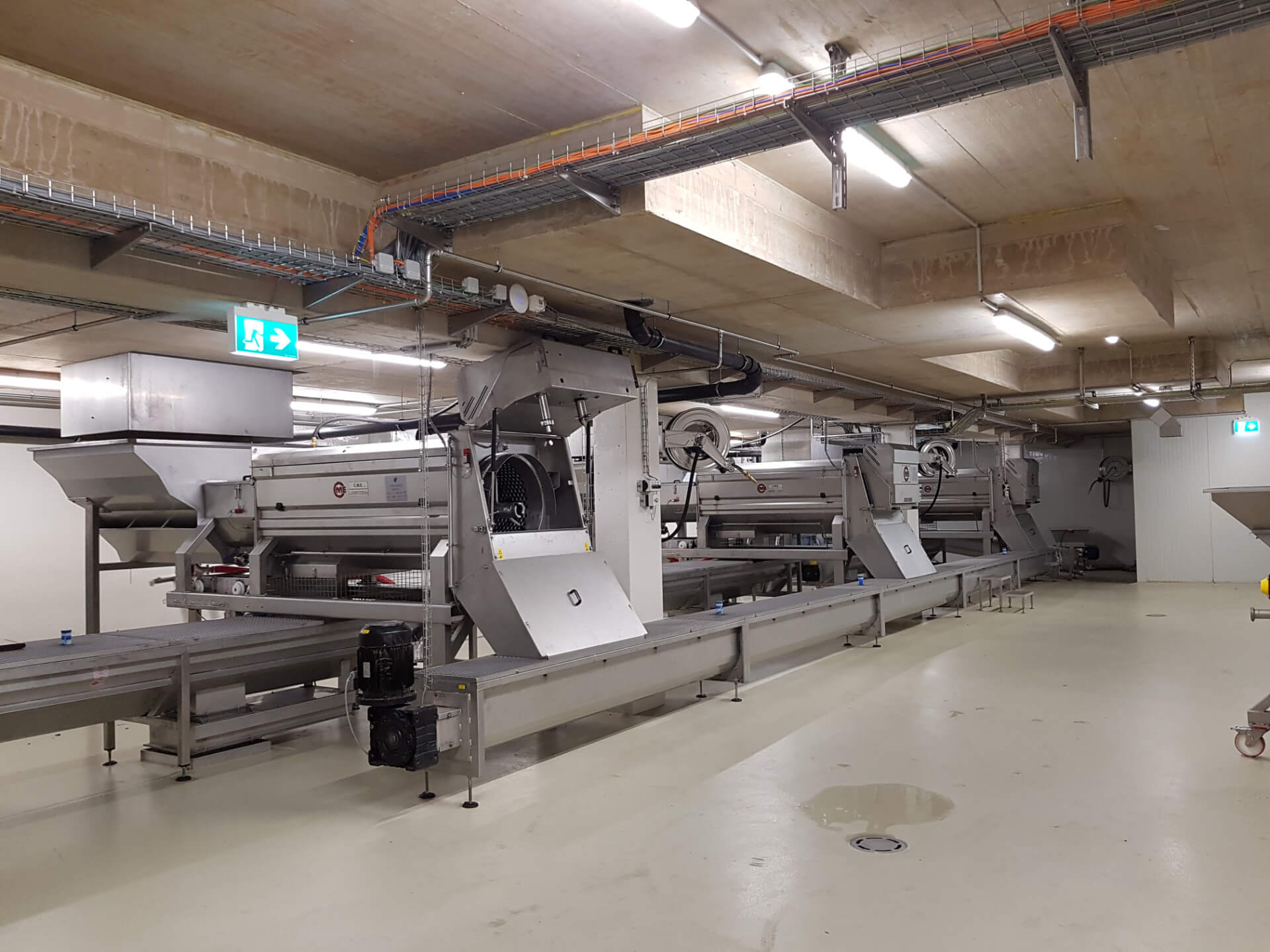 Diraspapigiatrice professionale